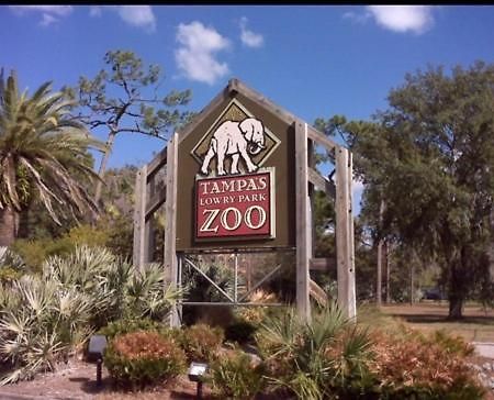 Bush Garden Park Nearby Apartments Tampa Exterior photo